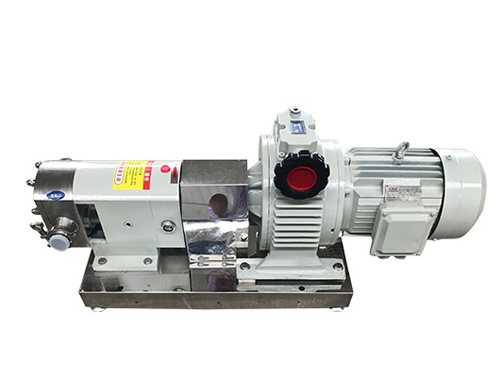 3RP Sanitary Rotary Lobe Pump